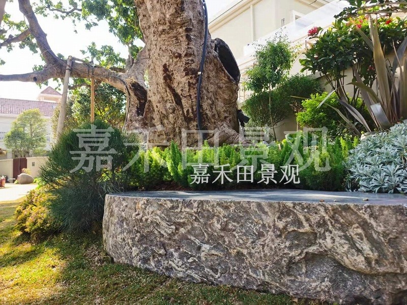 樹木在園林景觀設(shè)計中有哪些作用？